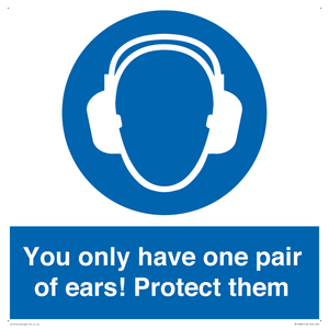 Mandatory: You only have one pair of ears! Protect them
